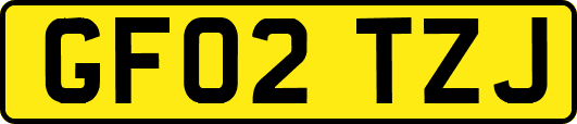 GF02TZJ