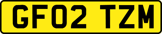 GF02TZM