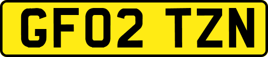GF02TZN