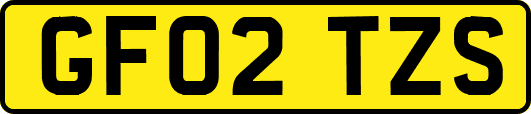 GF02TZS