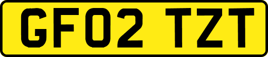 GF02TZT