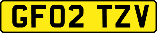 GF02TZV