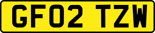 GF02TZW