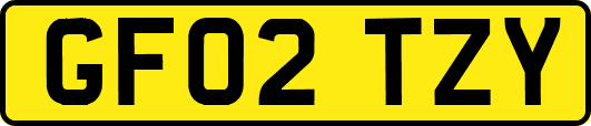 GF02TZY