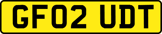 GF02UDT