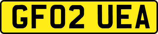 GF02UEA