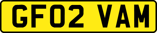 GF02VAM