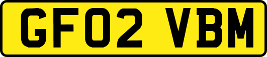 GF02VBM
