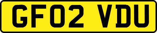 GF02VDU