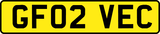GF02VEC