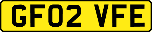GF02VFE