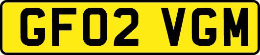 GF02VGM