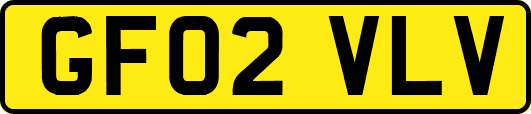 GF02VLV