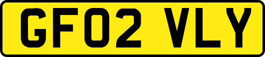 GF02VLY