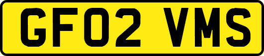 GF02VMS