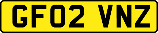 GF02VNZ