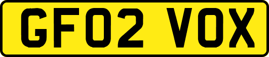 GF02VOX