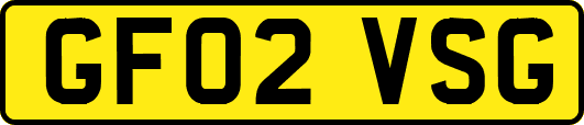 GF02VSG