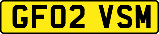GF02VSM