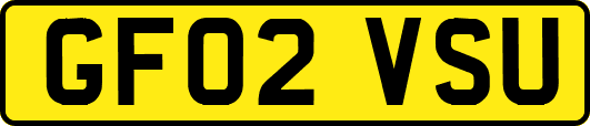 GF02VSU