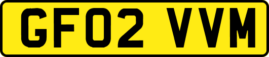 GF02VVM