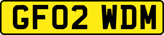 GF02WDM