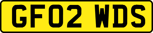 GF02WDS