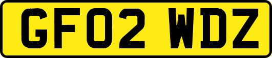 GF02WDZ