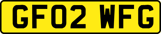 GF02WFG