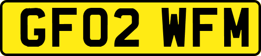 GF02WFM