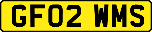 GF02WMS