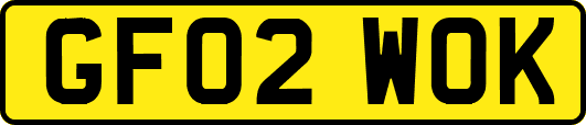 GF02WOK
