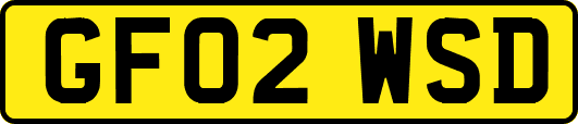 GF02WSD
