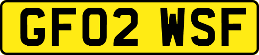 GF02WSF