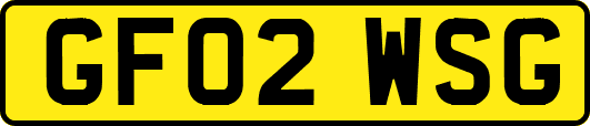 GF02WSG