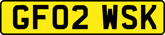 GF02WSK