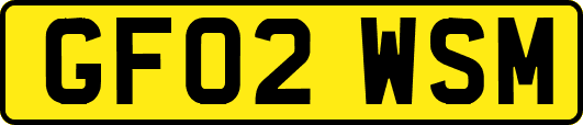 GF02WSM