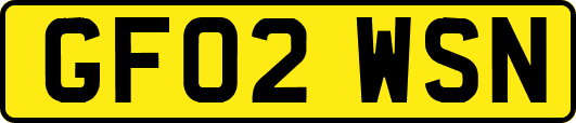 GF02WSN