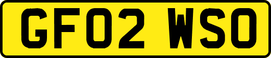 GF02WSO