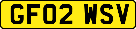 GF02WSV