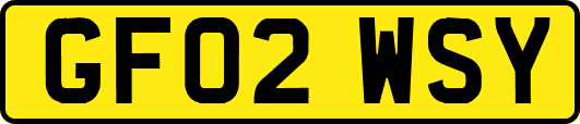 GF02WSY