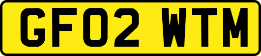 GF02WTM