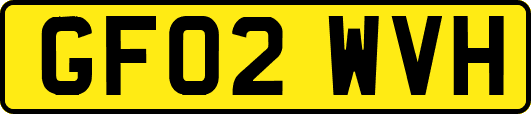 GF02WVH
