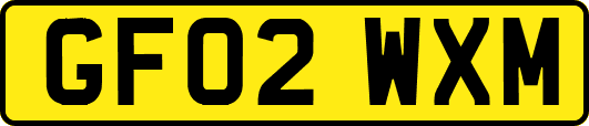 GF02WXM