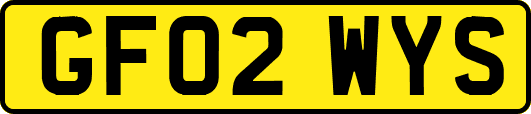 GF02WYS