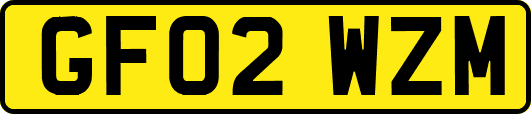 GF02WZM