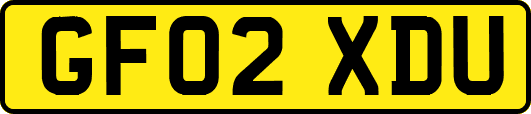 GF02XDU