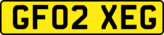 GF02XEG