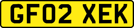 GF02XEK