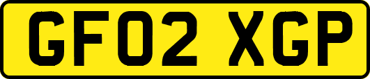 GF02XGP